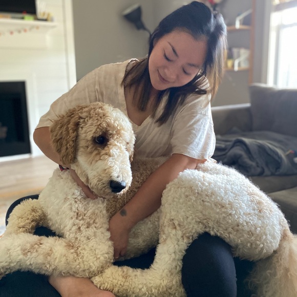 Meet your Posher, Hien - Picture 3 of 3